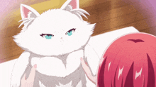 Anime Vampire Domatories GIF - Anime Vampire Domatories Cat GIFs