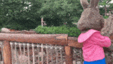 a bunny mascot in a pink jacket looks over a wooden railing