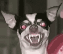 Dog Evil GIF