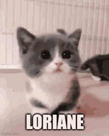 Loriane Montfroc GIF - Loriane Montfroc Lori GIFs