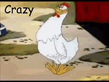 Crazy For GIF