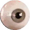 a close up of a human eye on a white background