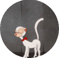 a cartoon cat with glasses and a red collar is standing in a circle
