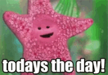 Excited Todays The Day GIF - Excited Todays The Day Starfish GIFs