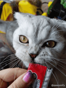 Cat Lick Yum GIF - Cat Lick Yum Yummy GIFs