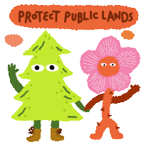Protect Public Lands National Parks Sticker - Protect Public Lands Public Lands National Parks Stickers