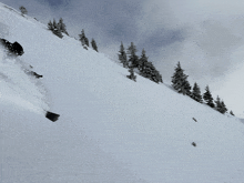 Ski GIF - Ski GIFs