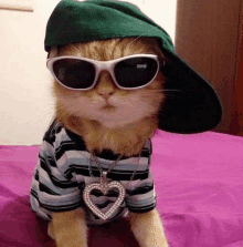 Cat Cute Cat GIF - Cat Cute Cat Swag GIFs