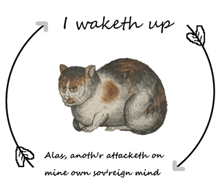 a drawing of a cat with the words i waketh up