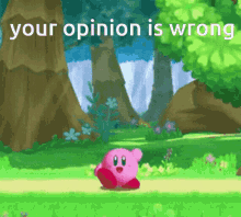 Your Opinion Is Wrong Kirby Dance GIF - Your Opinion Is Wrong Kirby Dance GIFs