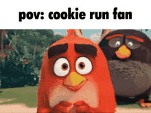 Cookie Run Kingdom Angry Birds GIF - Cookie Run Kingdom Angry Birds Pov GIFs