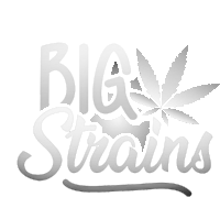 Bigstrains Bigstrains_gif Sticker - Bigstrains Bigstrains_gif Stickers