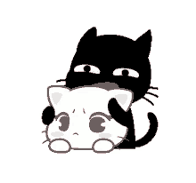 couple cat
