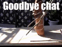 Goodbye Goodbye Chat GIF - Goodbye Goodbye Chat Meme GIFs