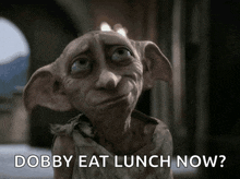 a close up of a dobby with the words dobby eat lunch now