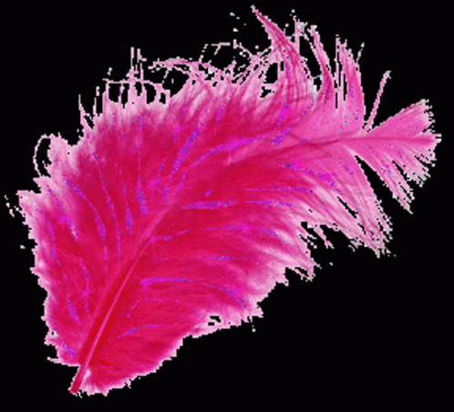 floating feather gif