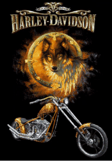 Wolf Harley Davidson GIF