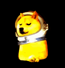 Doge To GIF - Doge To The GIFs