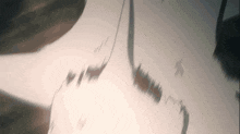 Shingeki No Kyojin Attack On Titan GIF