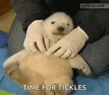 Tickle Fight GIF