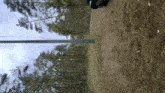 a car is driving down a dirt road in the woods .