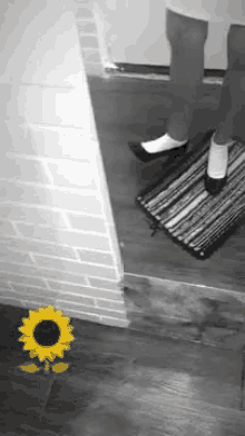 Shoes Mirror GIF