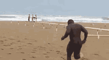 a man in a wetsuit is running on a sandy beach .