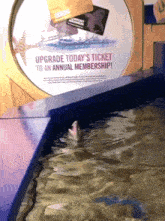 a sign that says upgrade today 's ticket to an annual membership in front of a fish tank