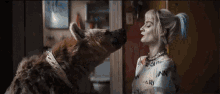 Wth Wtf Is Going On GIF - Wth Wtf Is Going On Harley Quinn GIFs