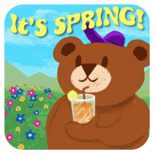 first day of spring its spring bear tea flowers