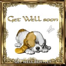 Get Better Soon Get Well GIF - Get Better Soon Get Well Get Well Soon GIFs