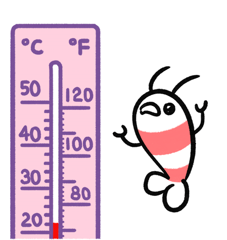 Thermometer Shrimp Sticker - Thermometer Shrimp Fire Stickers