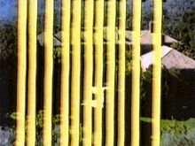 a yellow fence with a house in the background and trees in the foreground