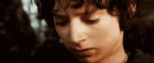 Frodo Lordoftherings GIF - Frodo Lordoftherings Crying GIFs