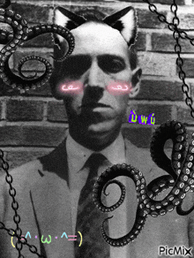 Lovecraft Hp Lovecraft GIF - Lovecraft Hp Lovecraft Catboy GIFs