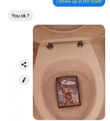 a person threw up in a toilet with a dvd on it .
