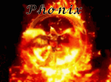 Phonix Sunucusu GIF - Phonix Sunucusu GIFs