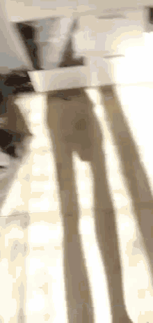 a shadow of a person 's legs is cast on a wooden floor .
