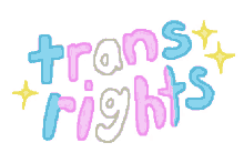trans feminist