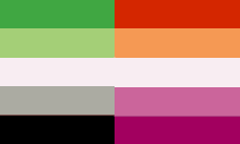 chemtvisarismartoes lesbian flag aromantic flag