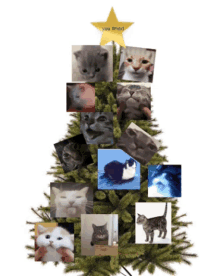 Cat Christmas Tree But Literally GIF - Cat Christmas Tree But Literally GIFs