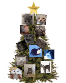 Cute Cat in Tree! (PC wallpaper) - Imgflip