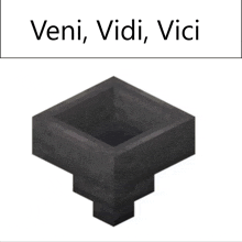 a picture of a minecraft item with veni vidi vici written above it