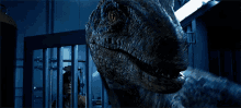 Jurassic World Blue GIF - Jurassic World Blue Velociraptor GIFs