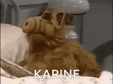 a stuffed animal is laying on a bed with the word karine written on the bottom .