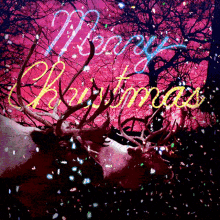 Merry Christmas Happy Holidays GIF - Merry Christmas Christmas Happy Holidays GIFs
