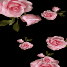 Falling Rose GIF - Falling Rose Pink GIFs