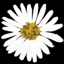 Nature Flower GIF