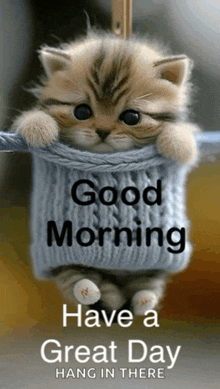 a kitten wearing a blue sweater is hanging from a rope with the words good morning have a great day hang in there