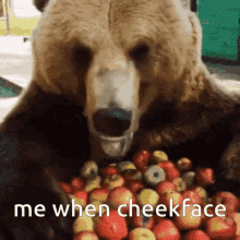 Cheeface Cheekface GIF - Cheeface Cheekface Bear GIFs